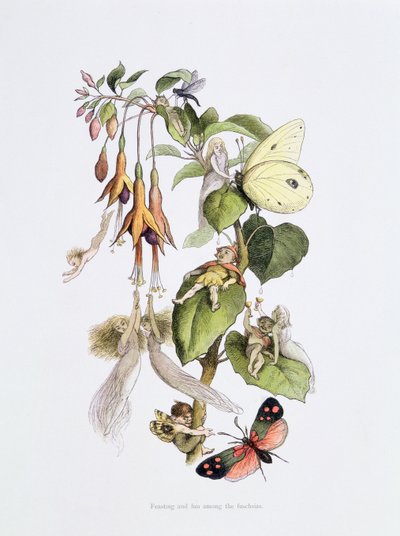 Feasting and Fun among the Fuschias, illustration from 